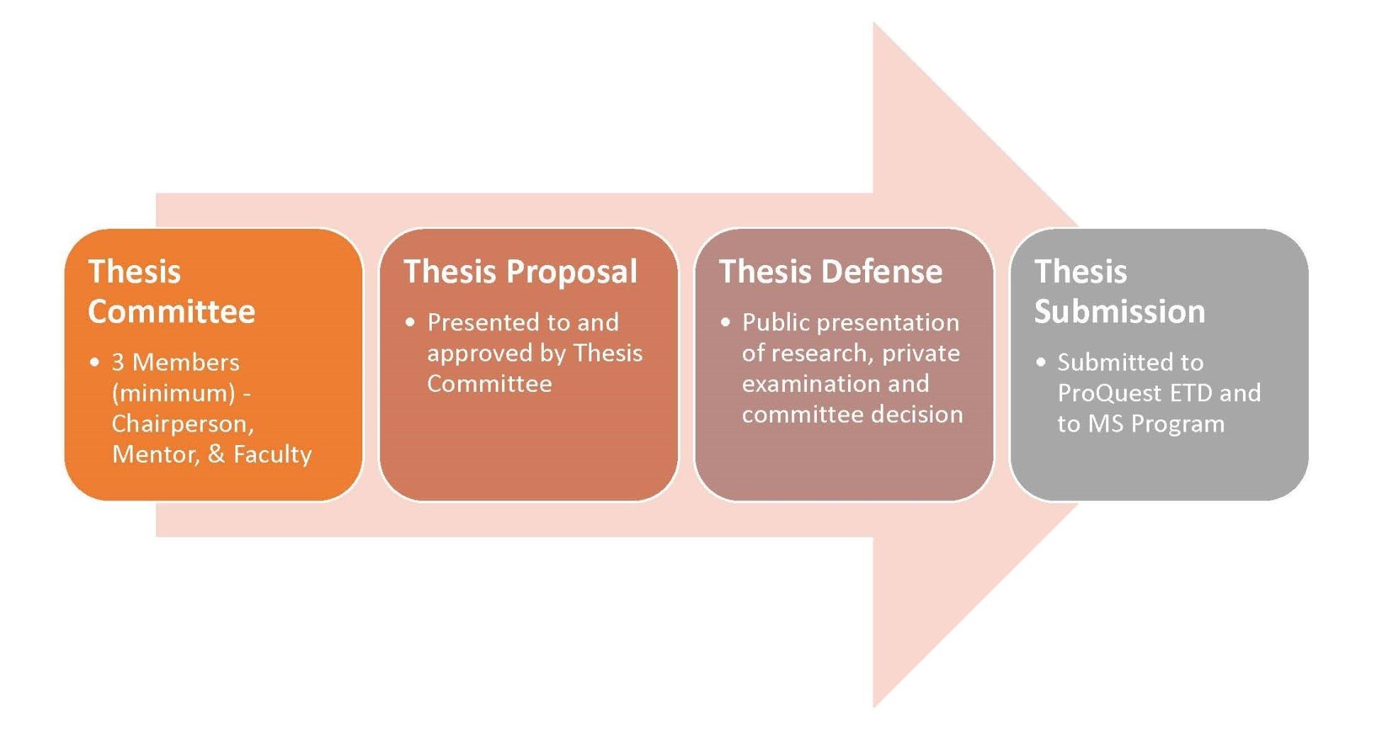 MS Thesis Process Flow Chart