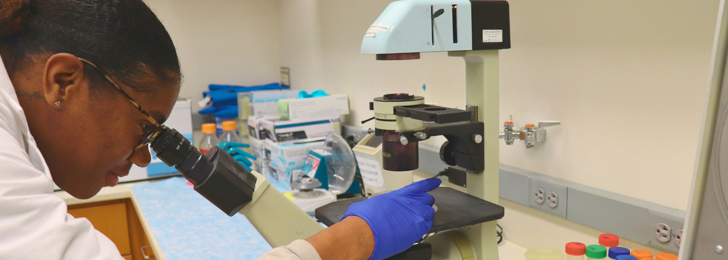 Student looking into microscope