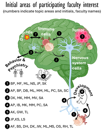 Diagram of the brain showing each faculty's area of interest