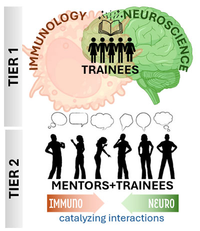 Graphic showing the two tiers for trainees