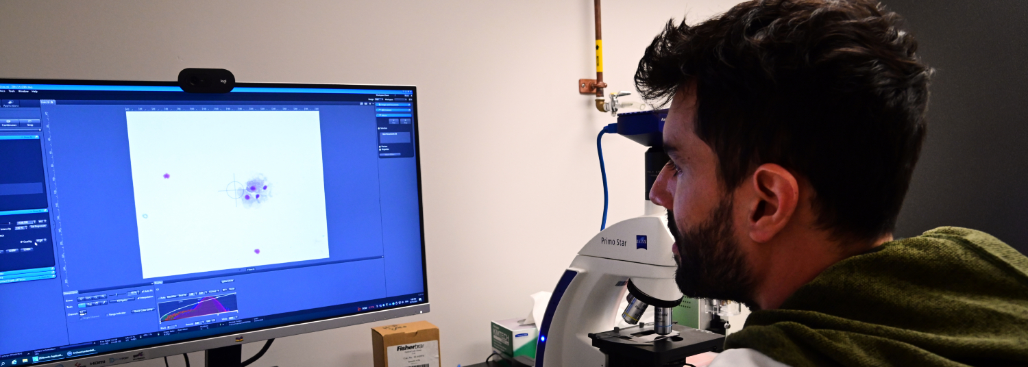 Current Postdocs lab