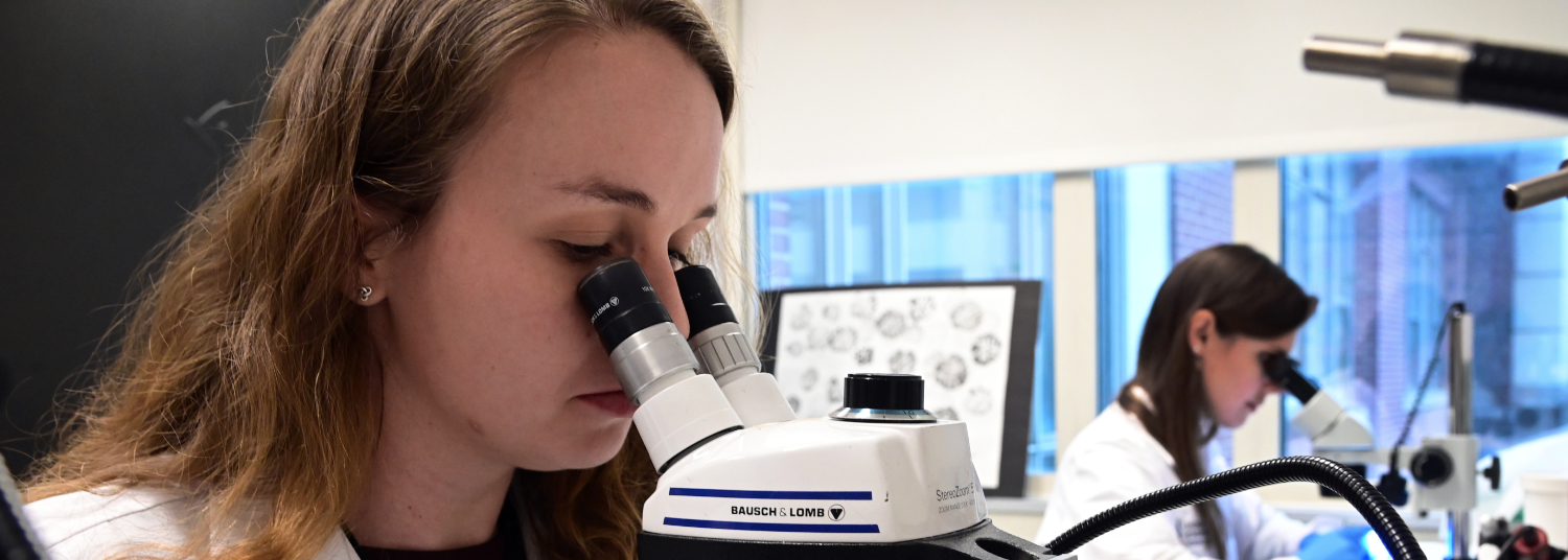 Office of Postdoc Scholars lab