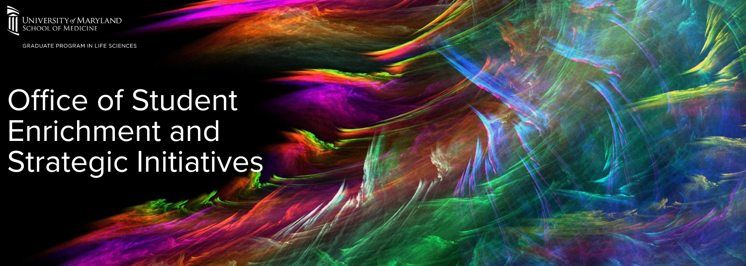 Office of Student Enrichment and Strategic Initiatives logo